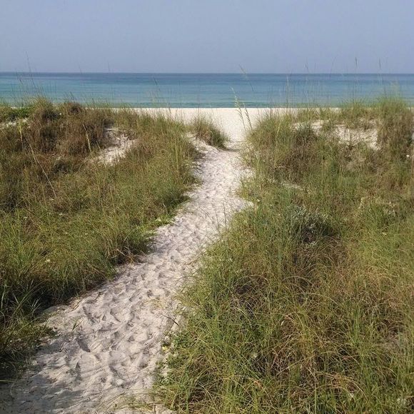 Meet your Posher, Timothy - Picture 1 of 1